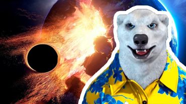 КАНАЛ ВЗЛОМАЛ ХОДИЛКИ БРОДИЛКИ