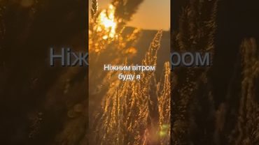 LYRA Music UA(Сонцем стану)#слухайукраїнське #відеоукраїнською #природа