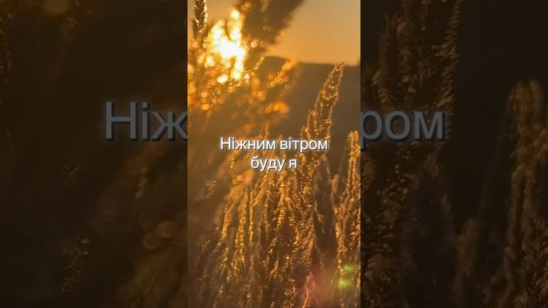 LYRA Music UA(Сонцем стану)#слухайукраїнське #відеоукраїнською #природа