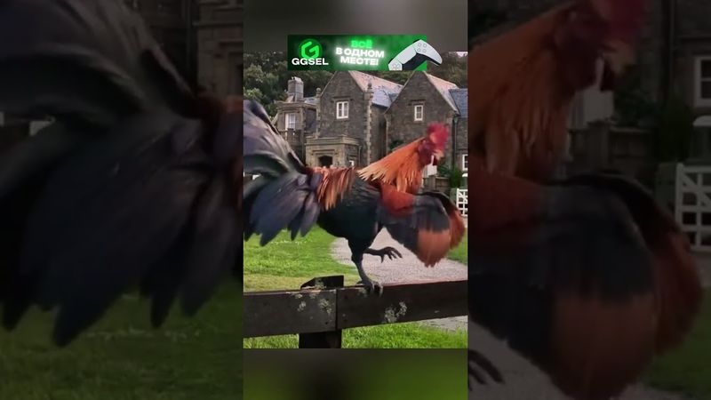 Осознание каждого отца 😁 Кролик Питер (2017)