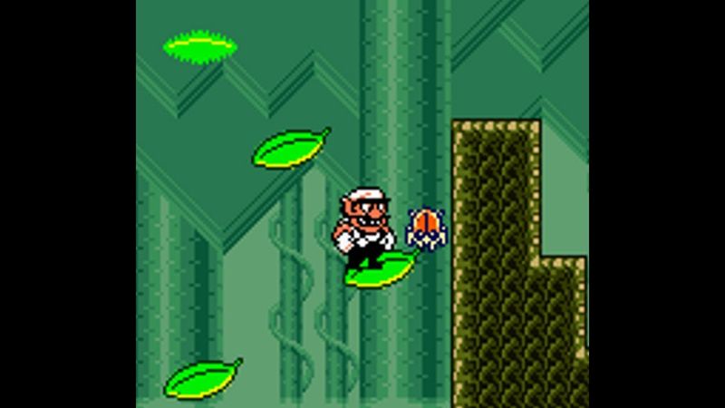 Wario Land 3: Part 64: Out of the Woods (Green Chest)