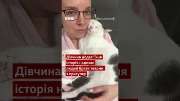 Кошеня Перчинка, від якого двічі відмовлялися і який всього боявся, має для вас новини #shorts #кіт