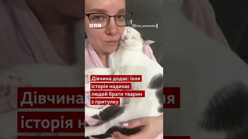 Кошеня Перчинка, від якого двічі відмовлялися і який всього боявся, має для вас новини #shorts #кіт