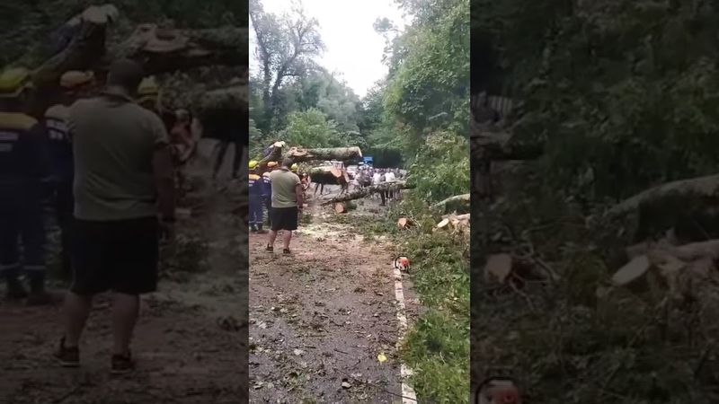 В Сочи ночью прошел сильный ливень, видео последствий публикуют в соцсетях