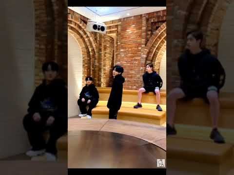 (Stray kids tiktok) (GOING DUMB)