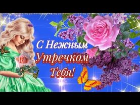 🌼С Добрым утром! Обалденная песня для Тебя! 🌼Музыкальная открытка Доброе утро. 🌼