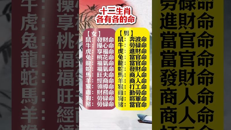 生肖女命 vs 男命！十二生肖命運大不同！