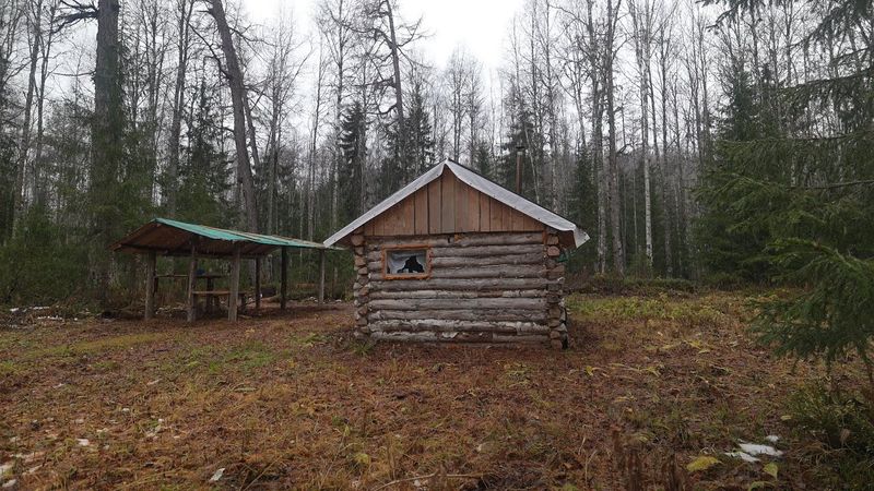 Крупный хариус поздней осенью. Живу один в избушке. Быт и рыбалка.