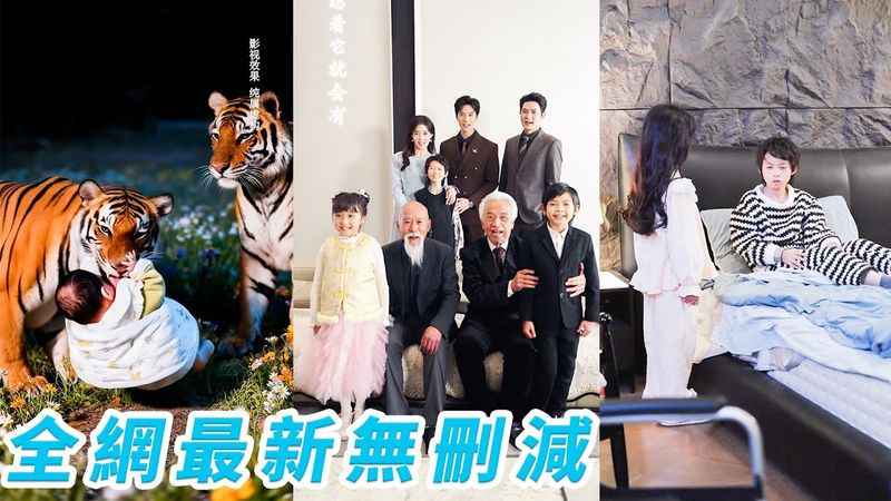 被老虎養大的小女孩回城認親被拒，意外救下總裁被帶回豪門，一進門便治好病危爺爺和癱瘓哥哥，從無人要的野孩子變成全家捧在手心的團寵小福星#萌娃#甜宠