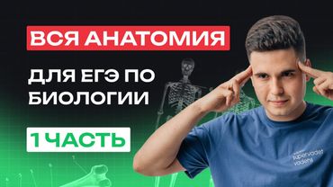 ВСЯ АНАТОМИЯ ДЛЯ ЕГЭ ПО БИОЛОГИИ | ЧАСТЬ 1 | NeoFamily