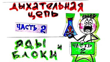 Тканевое дыхание. Ч. 2. Яды и блоки. Биохимия