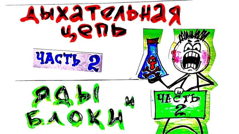 Тканевое дыхание. Ч. 2. Яды и блоки. Биохимия