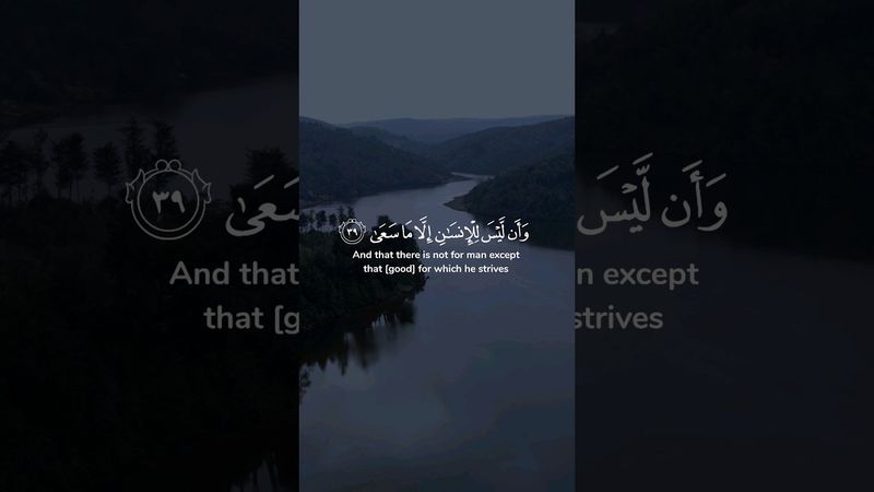 وأن ليس للإنسان إلا ما سعى ۝ وأن سعيه سوف يرى ۝ ثم يجزاه الجزاء الأوفى ..| محمد صديق المنشاوي