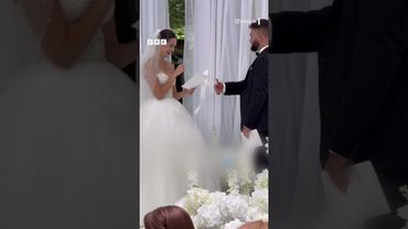 На весілля пари з Хмельницького завітав несподіваний гість... #shorts #новини #хмельницький #позитив