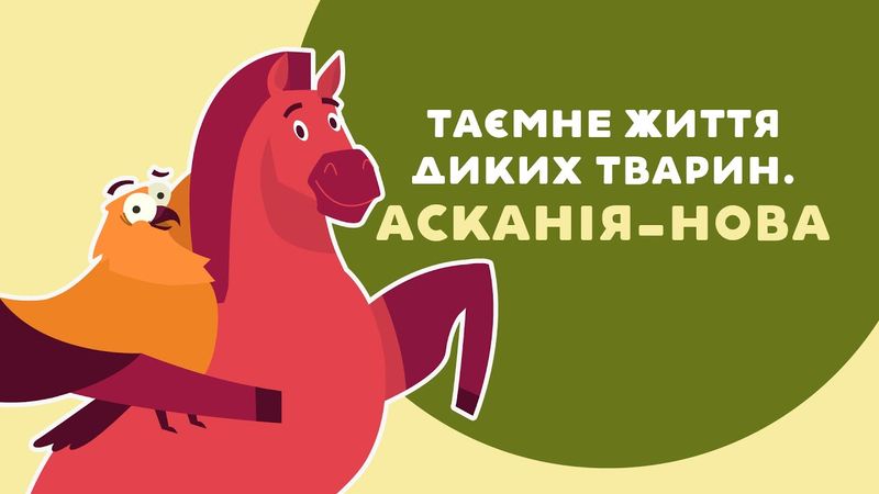 ПЕДАН ПРО ТАЄМНЕ ЖИТТЯ ДИКИХ ТВАРИН. АСКАНІЯ-НОВА. 12 серія «Книга-мандрівка. Україна».
