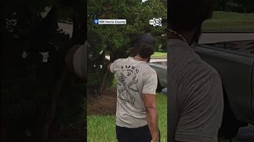 MYSTERIOUS CAMERAS IN NEIGHBORHOOD Clip