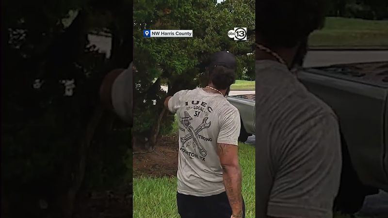 MYSTERIOUS CAMERAS IN NEIGHBORHOOD Clip