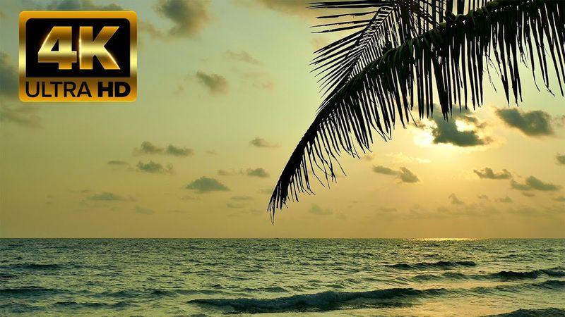 🏝 Beautiful Tropical Beach at Sunset 🌅 - 8 hrs of soothing waves-Perfect for sleeping or relaxing