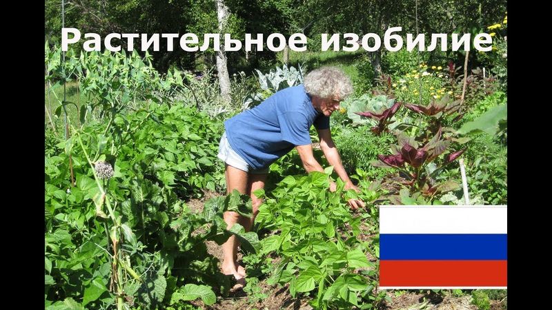 Растительное изобилие (по Филиппу Форреру) Холмистое садоводство