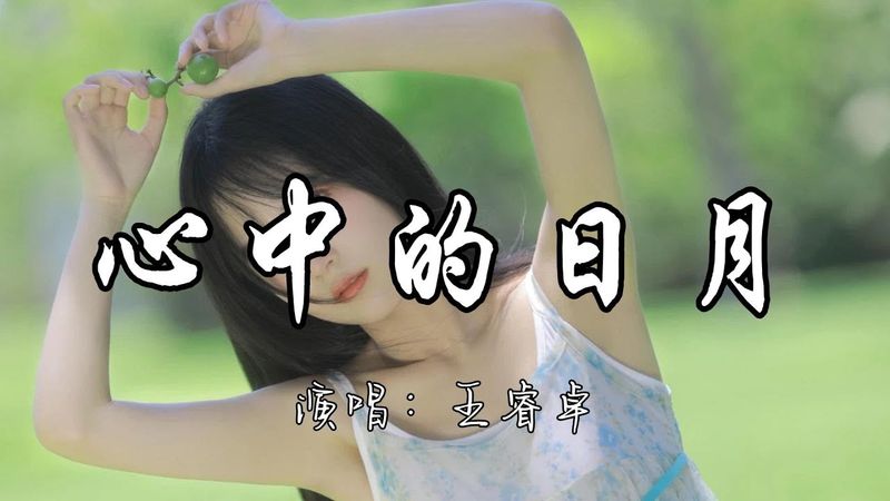 王睿卓 - 心中的日月『你是我心中的日月光芒，你的真 带着香 你的香 会说话。』『动态歌词MV』