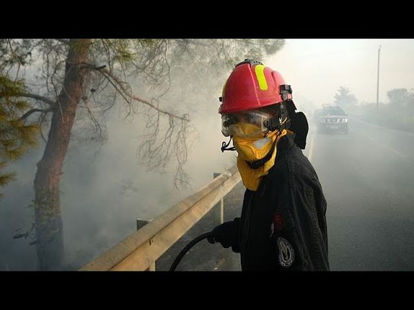 Extent of damage from Cyprus wildfires becoming clear as blazes brought under control