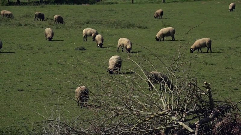 Plodovi zemlje, 3. kolovoza 2025.