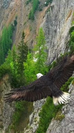 #видеооткрытка# умные мысли#красота #@tatulya50