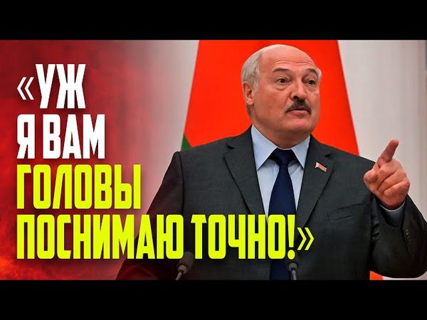Лукашенко пообещал «поснимать головы» за падеж скота