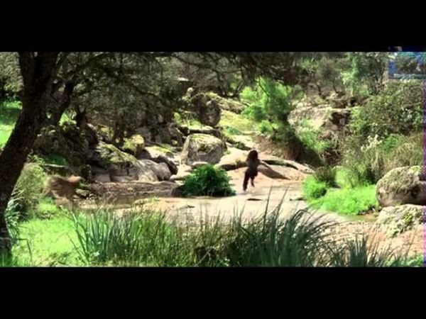 Волчонок - Александр Маршал