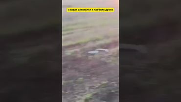 Солдат идёт через поле, усеянное оптоволоконными кабелями FPV-дронов.
