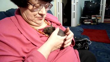 Новодворская и крыса