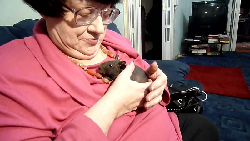 Новодворская и крыса