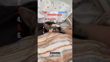 СМЕШНЫЕ МОМЕНТЫ #shortvideo #short #shorts