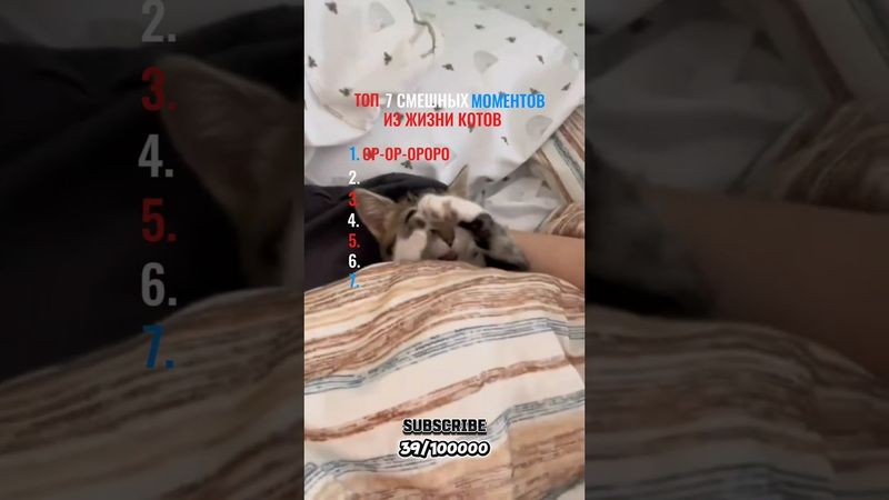 СМЕШНЫЕ МОМЕНТЫ #shortvideo #short #shorts