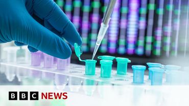 Work begins to create artificial human DNA from scratch | BBC News