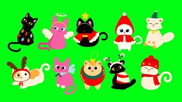 CHRISTMAS CAT Green Screen