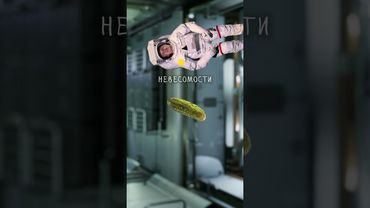 Как работает ручка, которая пишет в невесомости? #лютаяфизика