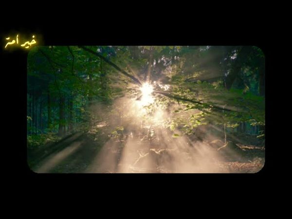 وَهُدُوا إِلَى الطَّيِّبِ مِنَ الْقَوْلِ وَهُدُوا إِلَى صِرَاطِ الْحَمِيدِ