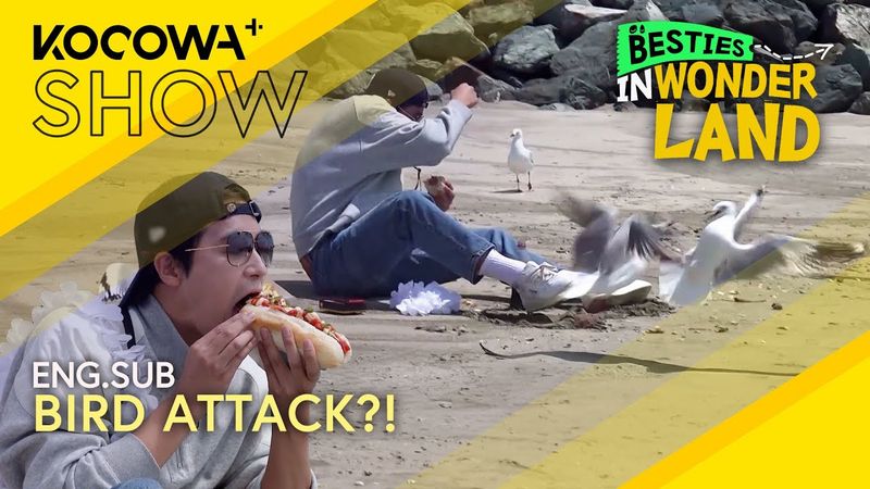 Beach Mukbang Gone Wrong... Attacked by Birds! 🐦🍗🌊 | Besties in Wonderland EP05 | KOCOWA+