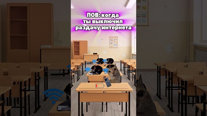 Страна теперь рухнет🤣 #котята #мемы #жиза #шортс