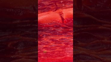 Breaking Pepper Close-up | Original sounds created by @OddioStudio  Follow this Foley artist!