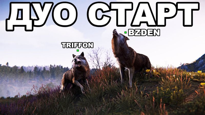 ДУО СТАРТ на ХАРДКОРЕ после ГЛОБАЛ ВАЙПА в РАСТ / RUST @TRIFFON7