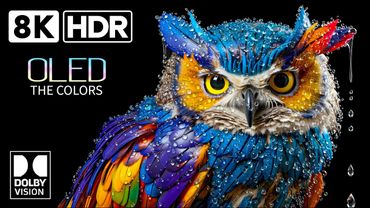 BEST 8K Video | Dolby Vision HDR 8K 120FPS (4K / 8K TV TEST)