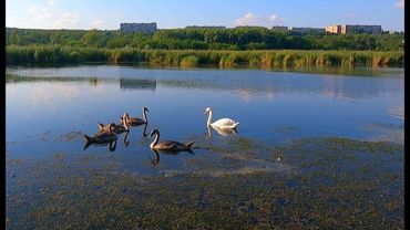 #Славянск. 6 августа 2025г. Вечер.