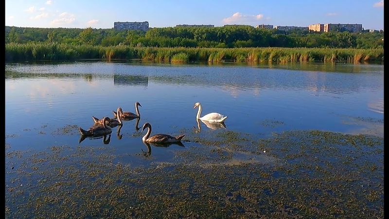 #Славянск. 6 августа 2025г. Вечер.