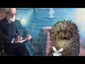 Добрый день:)