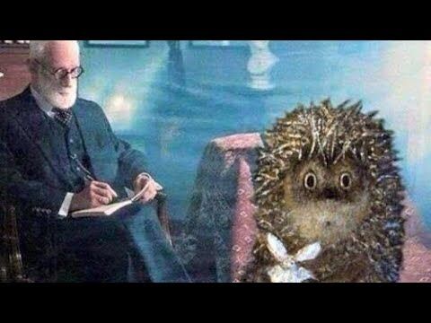 Добрый день:)