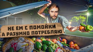 В России хуже даже помойки. Почему уезжают релоканты? | #ШО 23