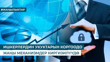 ИШКЕРЛЕРДИН УКУКТАРЫН КОРГООДО ЖАҢЫ МЕХАНИЗМДЕР КИРГИЗИЛҮҮДӨ