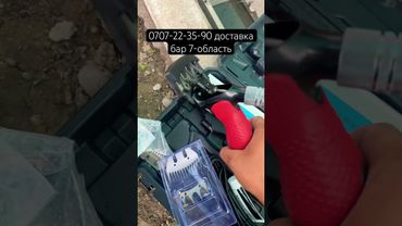 Кой машинка акция